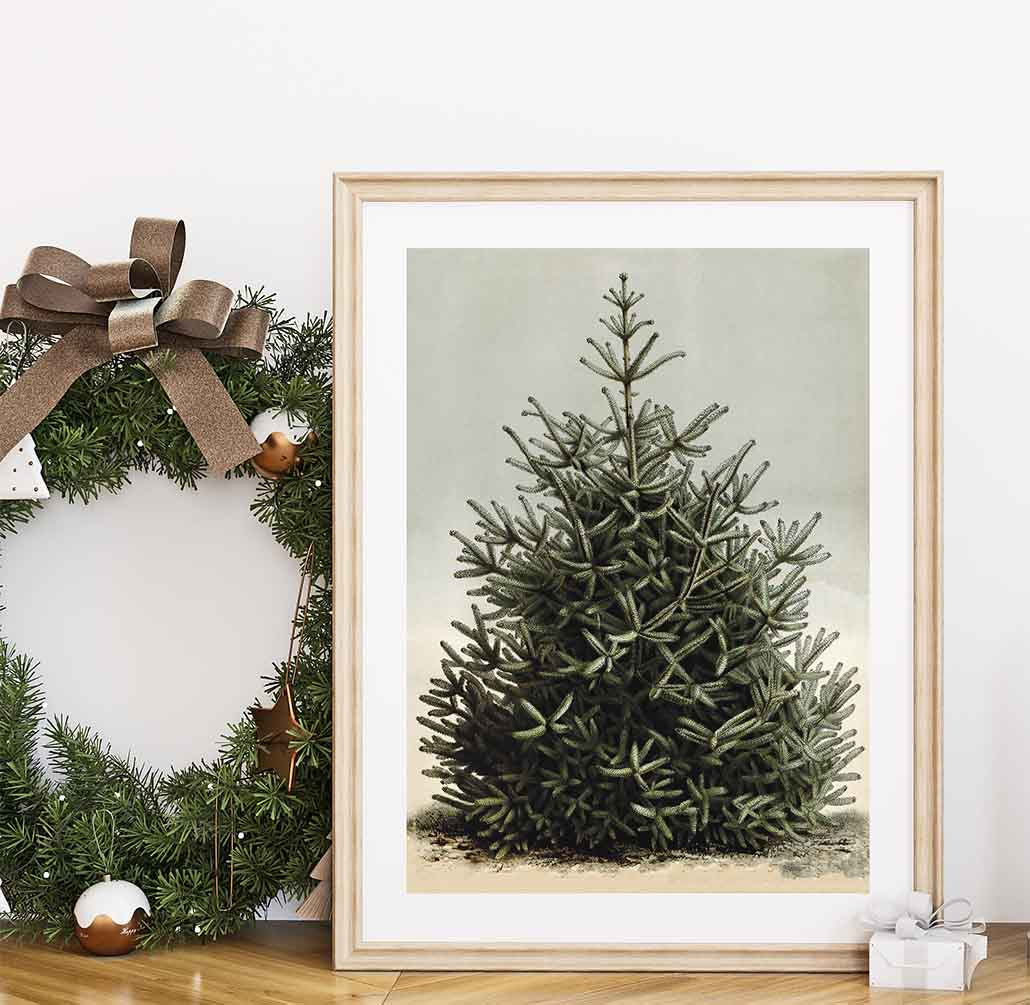 Evergreen Tree Print – Simply Inspired Design Co